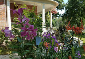 Beautiful landscaping adorns the lawn of the James A. Thompson House B&B.